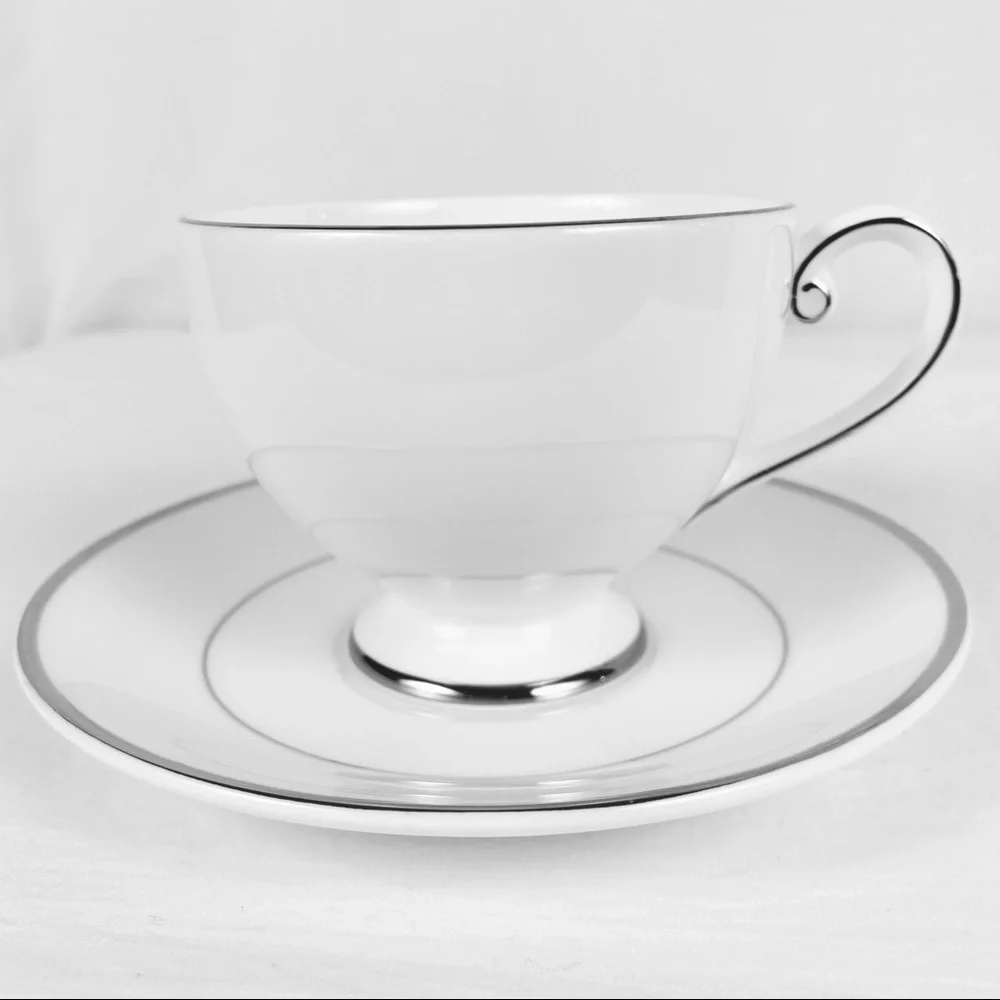 Mikasa Cameo Platinum Teacup & Saucer Fine China